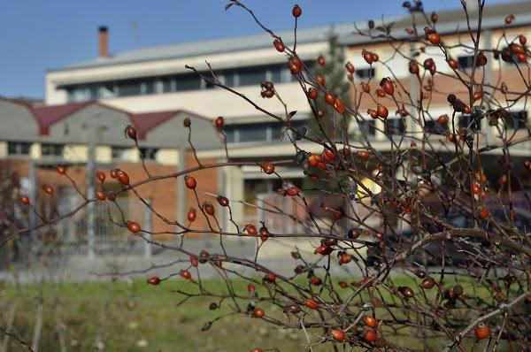 Imagen 15 Javier Martín. Psicólogo Sanitario y Forense. foto