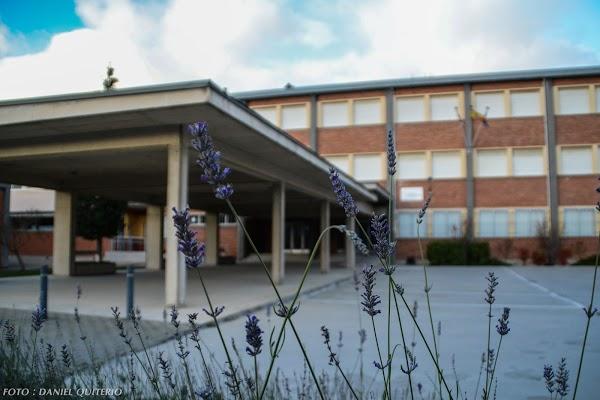 Imagen 17 Javier Martín. Psicólogo Sanitario y Forense. foto