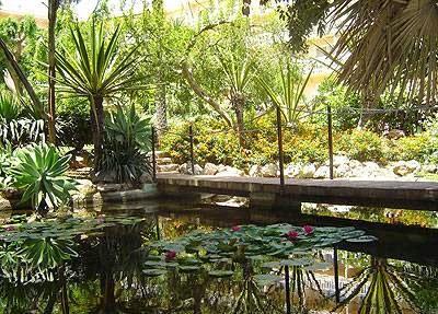 Imagen 9 PINTURAS ALVAMEX foto