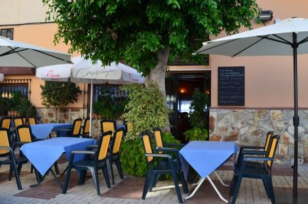 Imagen 11 Prunisa foto