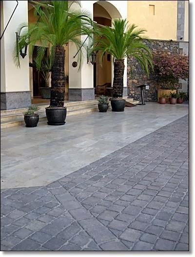 Imagen 101 Prunisa foto