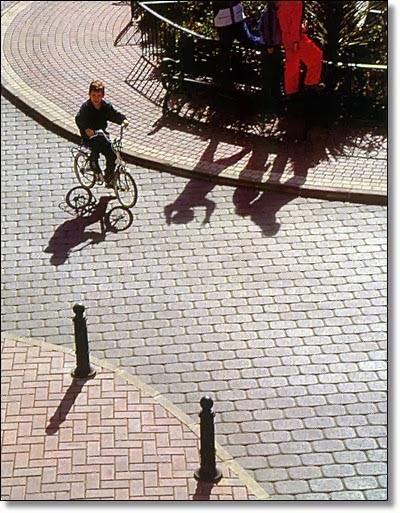 Imagen 143 Prunisa foto