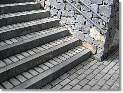 Imagen 149 Prunisa foto