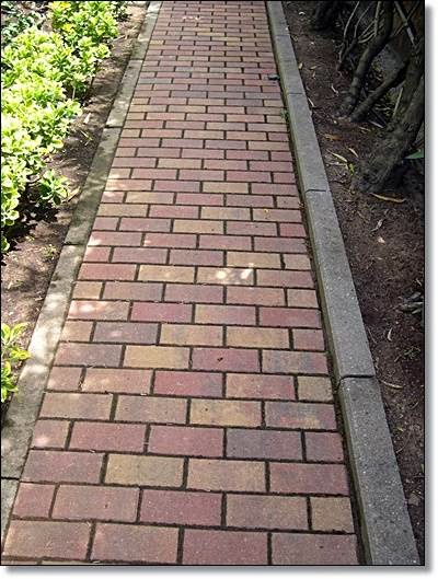 Imagen 212 Prunisa foto