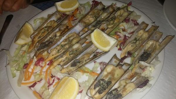 Imagen 51 Prunisa foto