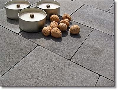 Imagen 75 Prunisa foto