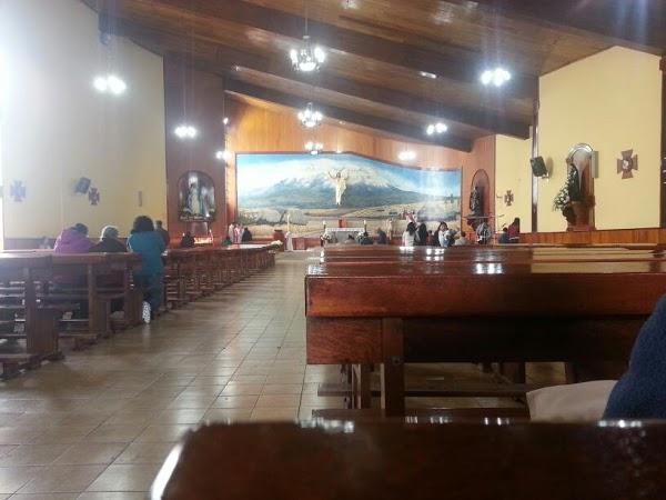 Imagen 4 CAFETERIA OBELIX foto