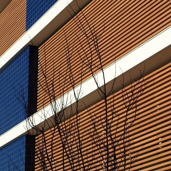 Imagen 41 Colegio Munabe, Colegio Concertado Trilingüe foto