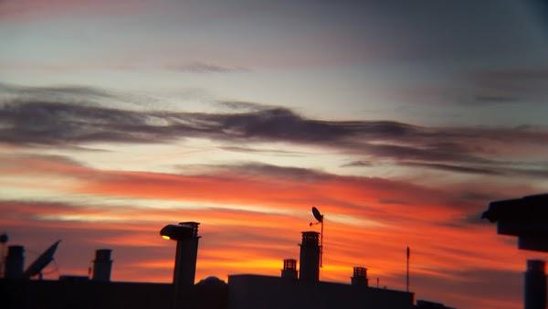 Imagen 25 TEULAMAR S.L foto