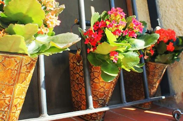 Imagen 19 Victoria Ejecutivo Guadalajara foto