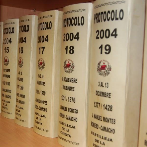 Imagen 13 NAVEGANDO A VELA - COSTA BRAVA foto