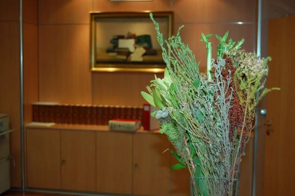 Imagen 24 NAVEGANDO A VELA - COSTA BRAVA foto