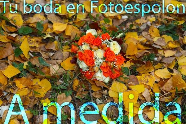 Imagen 105 FOTO ESPOLON foto