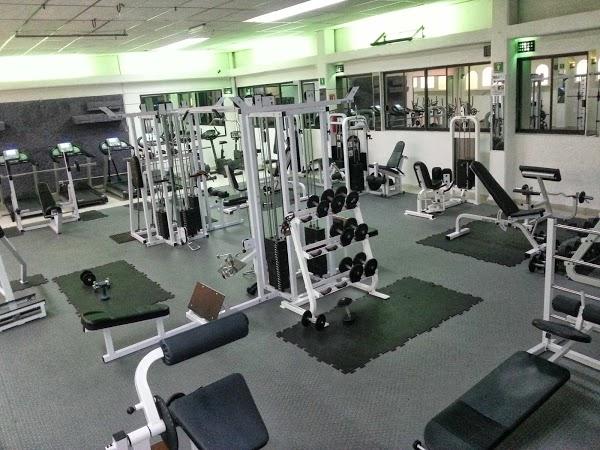 Imagen 119 Maderas Santaella foto