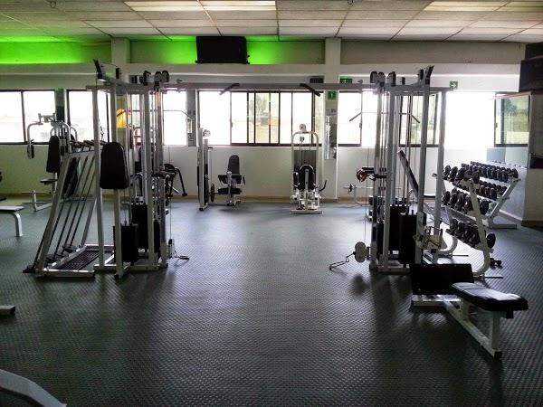 Imagen 34 Maderas Santaella foto