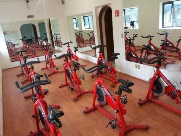 Imagen 42 Maderas Santaella foto