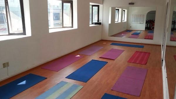 Imagen 73 Maderas Santaella foto