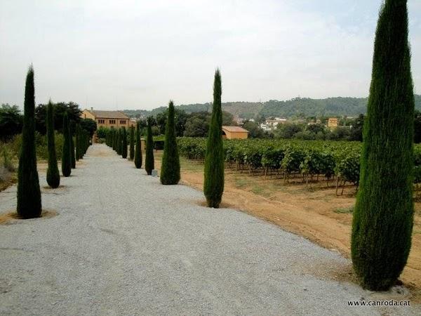 Imagen 14 L´ÉCOLE DE MEXICO foto