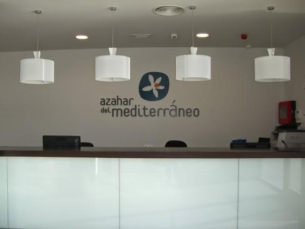 Imagen 3 L´ÉCOLE DE MEXICO foto