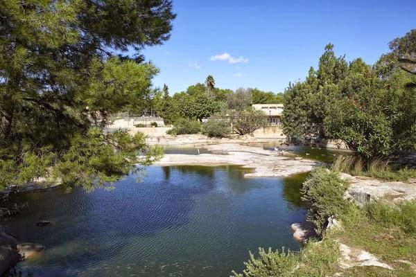 Imagen 25 Estortoldos ® foto