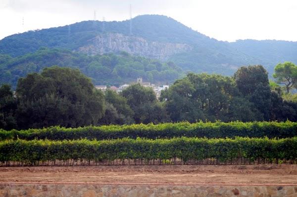 Imagen 53 Estortoldos ® foto