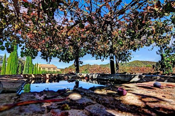 Imagen 54 Estortoldos ® foto