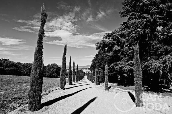 Imagen 56 Estortoldos ® foto