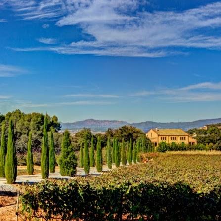 Imagen 68 Estortoldos ® foto