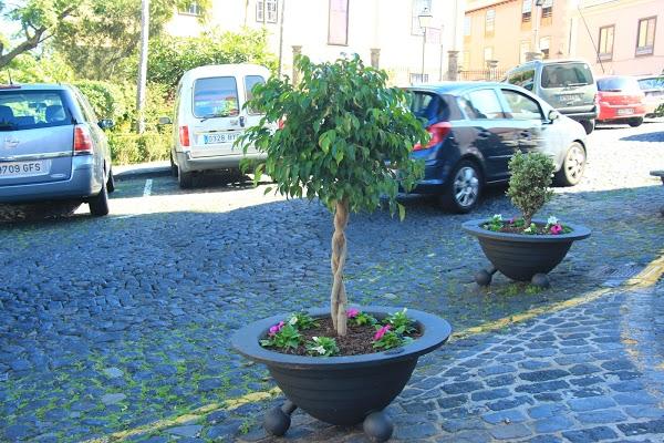 Imagen 39 Iglesia de Nuestra Señora de la Concepción foto