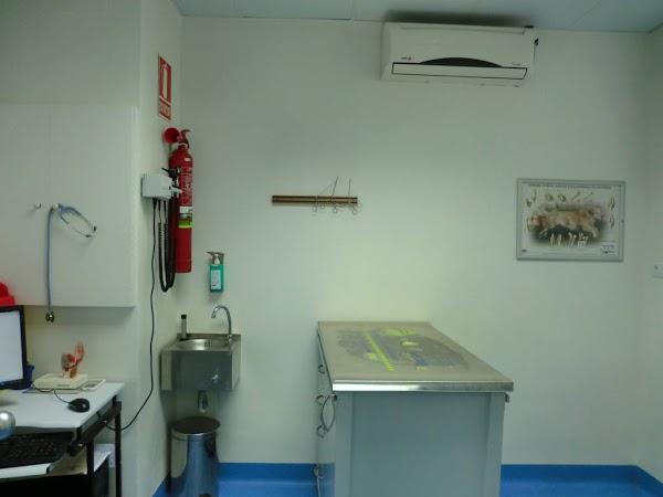 Imagen 33 Del Valle Sepúlveda Abogados foto