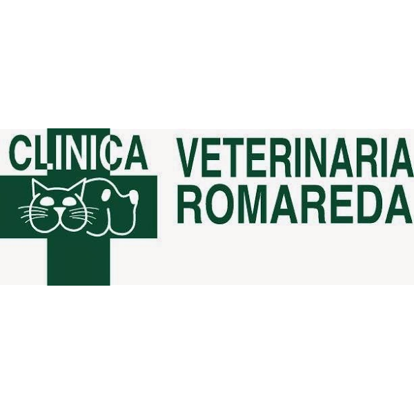 Imagen 35 Del Valle Sepúlveda Abogados foto