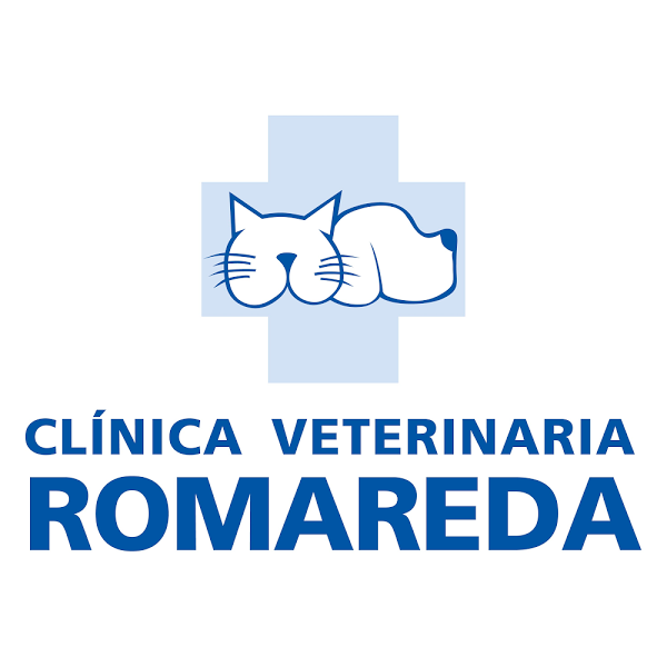 Imagen 46 Del Valle Sepúlveda Abogados foto