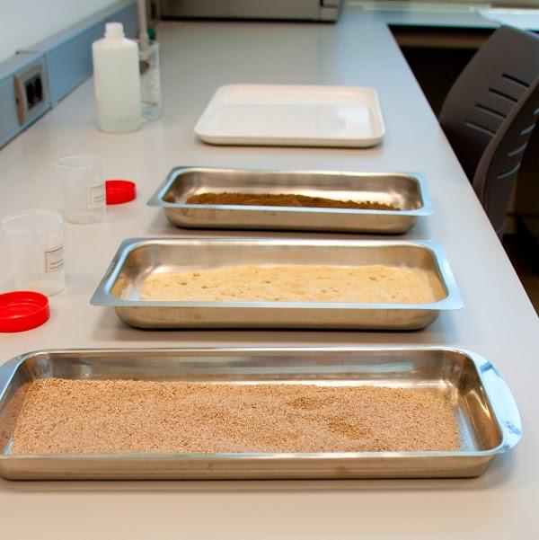 Imagen 64 Restaurante Nou Tibidabo foto