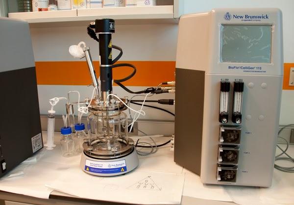 Imagen 67 Restaurante Nou Tibidabo foto