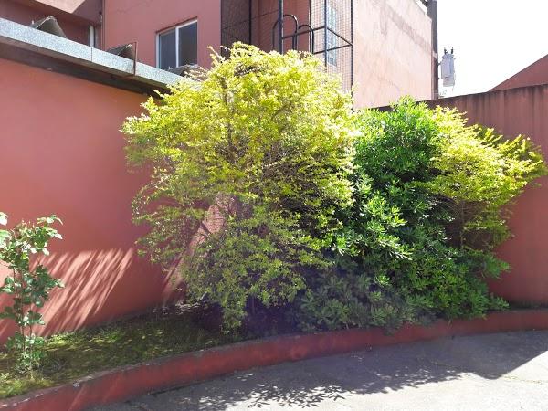 Imagen 34 Restaurante Jacks American Brasserie foto