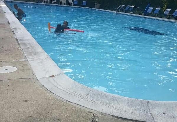 Imagen 3 Orion Vacances foto