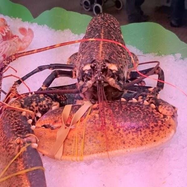 Imagen 31 Sonora S.C.P. foto