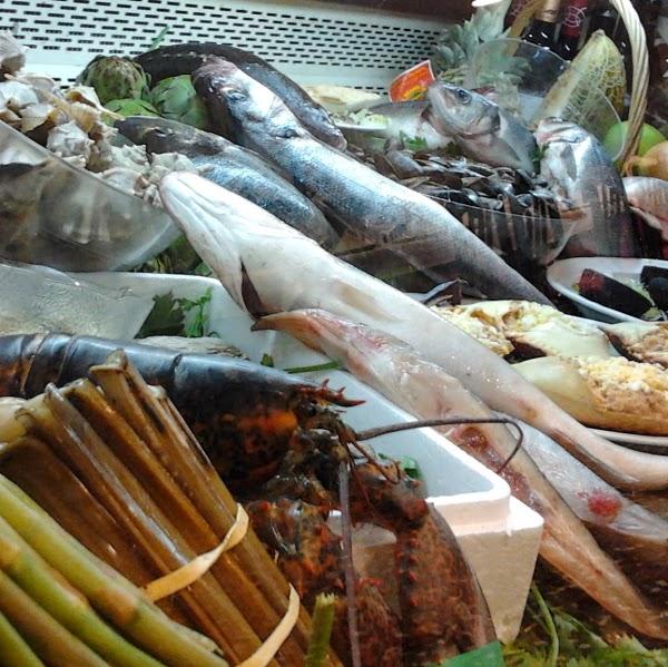 Imagen 33 Sonora S.C.P. foto