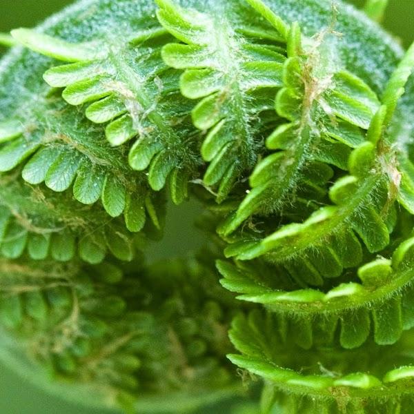 Imagen 9 Embutidos Moreno foto