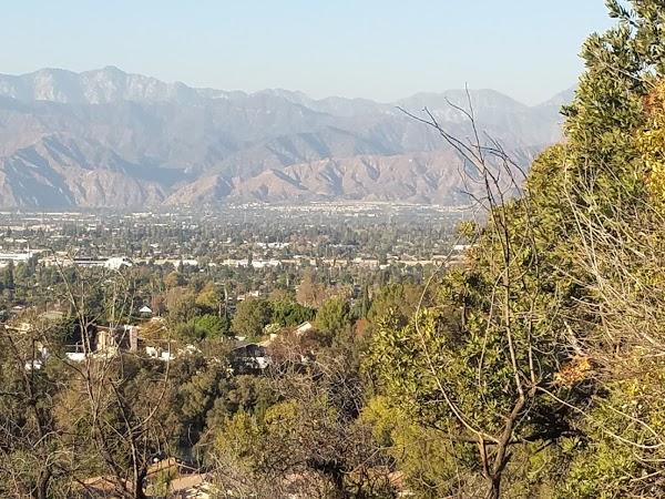 Imagen 20 Druni foto