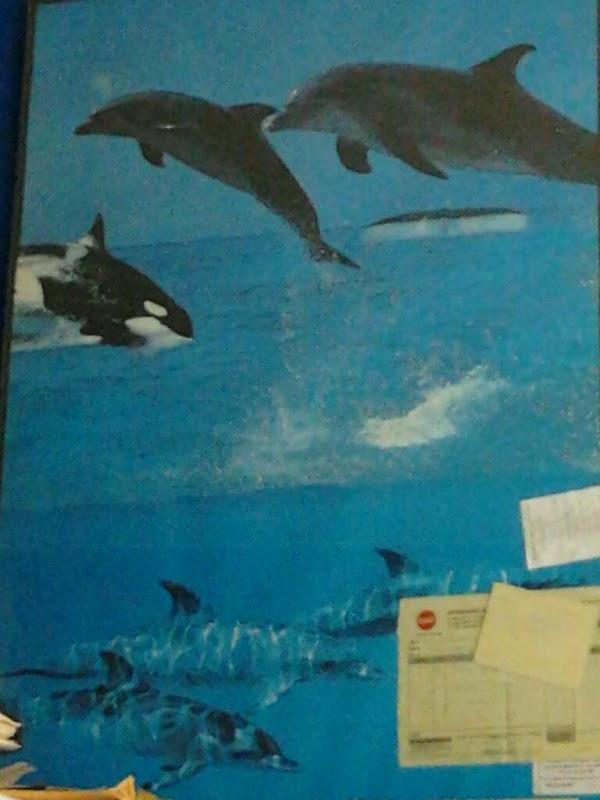 Imagen 26 Escuela República de Haiti foto