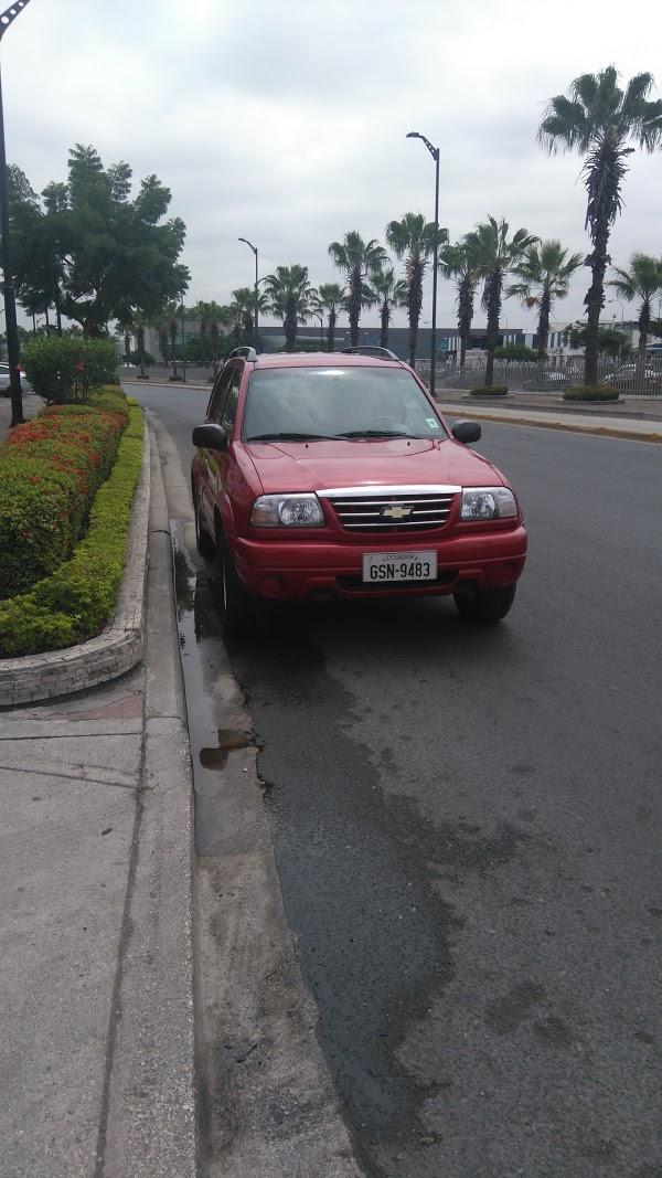 Imagen 39 Parroquía Santa Rosa de Lima foto