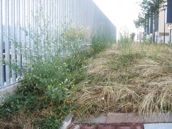 Imagen 15 Hotel Monopol foto