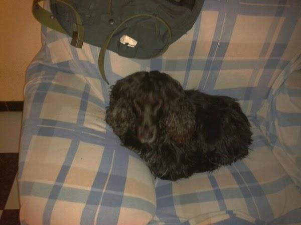 Imagen 14 Cenaduría Sabor a mí foto