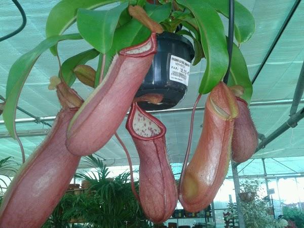 Imagen 15 Cenaduría Sabor a mí foto