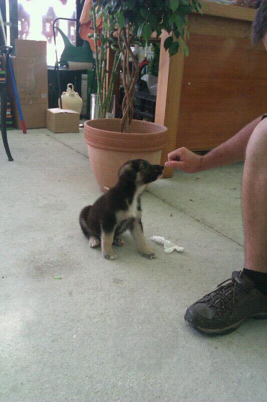 Imagen 16 Cenaduría Sabor a mí foto