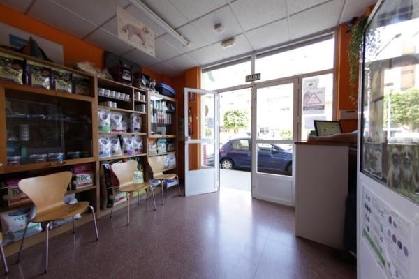 Imagen 4 Iberia foto