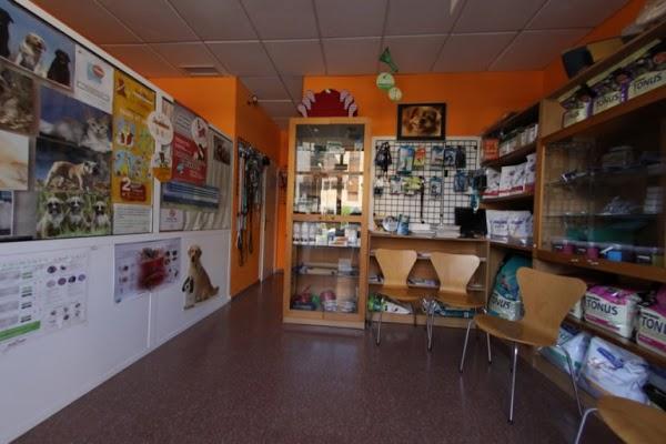 Imagen 5 Iberia foto