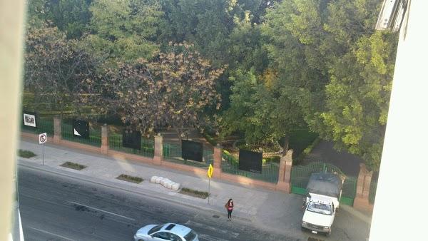 Imagen 3 Alameda Hidalgo foto