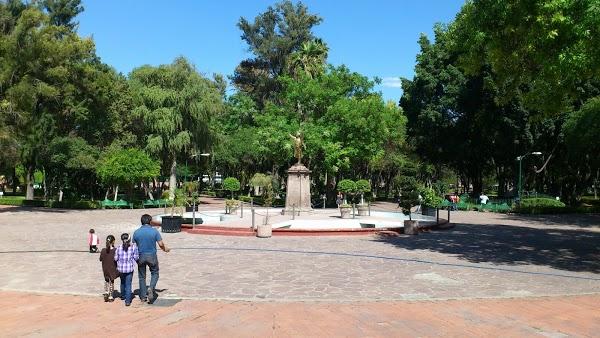 Imagen 4 Alameda Hidalgo foto